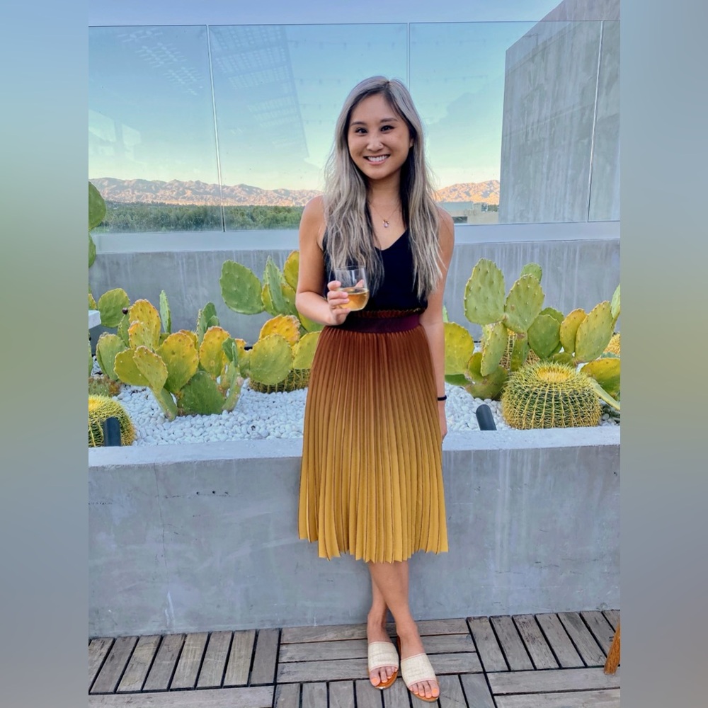 Babaton ombré skirt